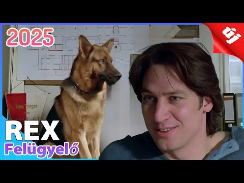 REX Felügyelő 2025 👮🐕‍🦺 Tehetséges nyomozókutya 🐕‍🦺👮 A Legjobb Krimi Tévésorozat Teljes Epizódok