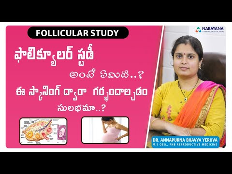 Want to track ovulation ? follicular study