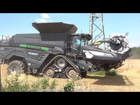 Fendt - Claas / Getreideernte - Grain Harvest  2021