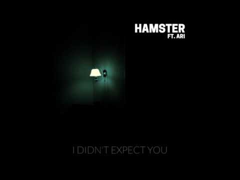 Hamster feat. X. Ari - I Didn't Expect You