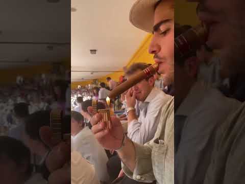 🇪🇸 PUROS Y TOROS 🇺🇸 CIGARS AND BULLFIGHTING #asmr #bullfighting #spain #cigars #cohiba