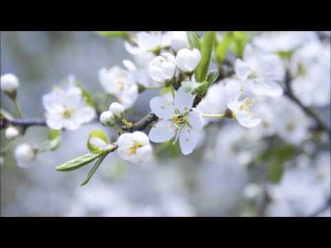 Rhian Sheenan - Te Karanga