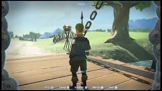 The Legend of Zelda: Tears of the Kingdom 【today's stroll】day３②：ゼルダの伝説　ティアーズオブザキングダム【今日の散歩】３日目②