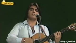 Manzanita - Verde y Un Ramito de Violetas