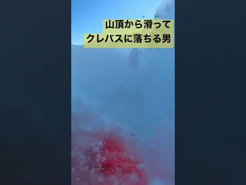 マウンテンセコイア、ジャイアントセコイア 植物