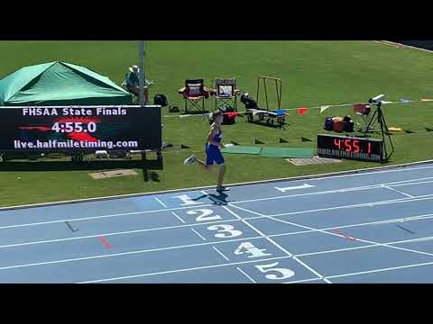 FHSAA 2019 3a 4x800m Championship Race