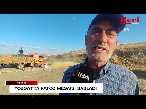 Yozgat’ta patoz mesaisi başladı | İleri Gazetesi