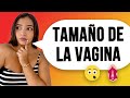 Cuánto Mide La Vagina