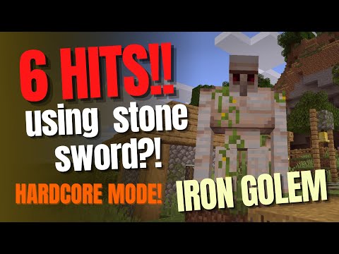 HARDCORE - 6 Hits Iron Golem using STONE SWORD?! | Xander Wizard