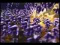 18 Years Of Sonic