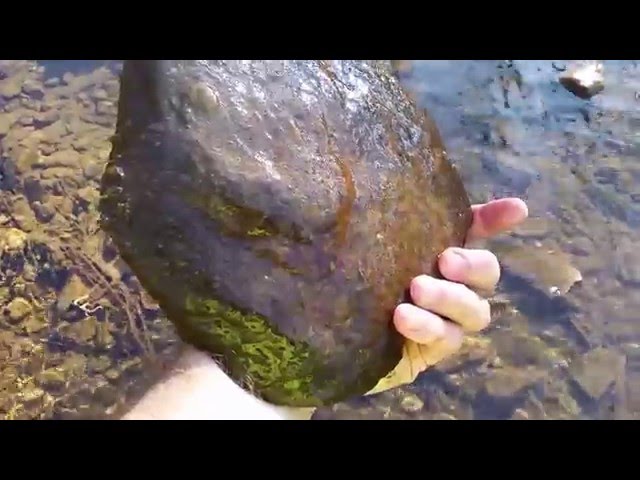 Collecting Rocks to Aquascape my 125 gallon Fish Tank.