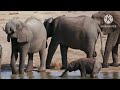 Braven S Alphabet Movie Part 5 Letter E