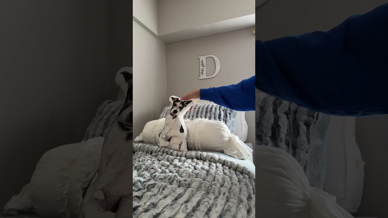 The Cutest College Dorm Essentials - Freezin Waters - Coma Inducer® Twin XL Comforter - Frosted Navy