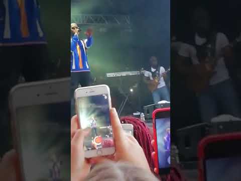 Lagoh vegedream extrait concert