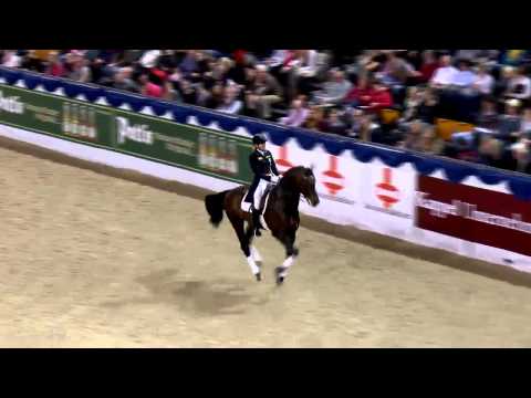 Franziskus K & K Cup 2015 - Hengstgala