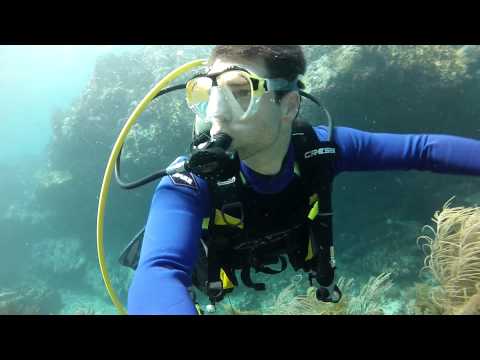 Scuba Diving the Eastwind Reef - St. Thomas Virgin Islands