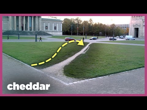 原來我們抄捷徑走出來的小路對設計這麼有幫助？！ (How Footpaths Help Shape Our Technology - Cheddar Explains)