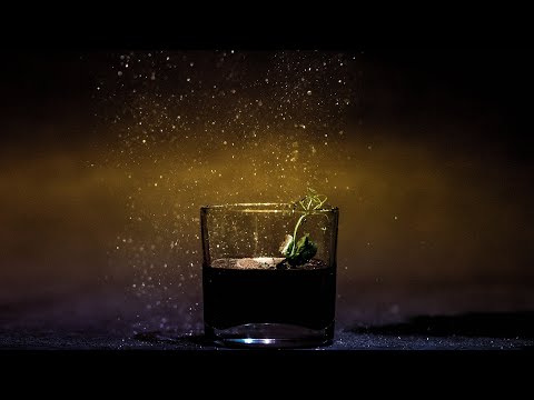 Maistas pobūviams PJAZZ I PREMIUM CATERING