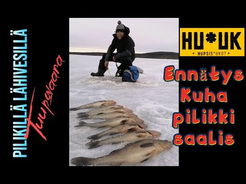 Ennätys kuhasaalis pilikillä. Kalassa lähivesillä, Tuupovaara.