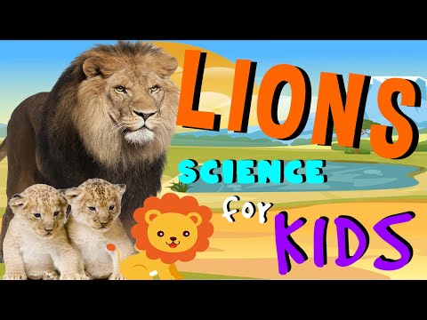 Lions | Science for Kids