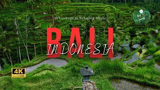 Bali 4K: Stunning Footage &amp; Relaxing Music - Ultimate Tropical Escape #4kvideo60fps #baliindonesia