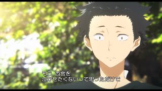 PV long captioned version