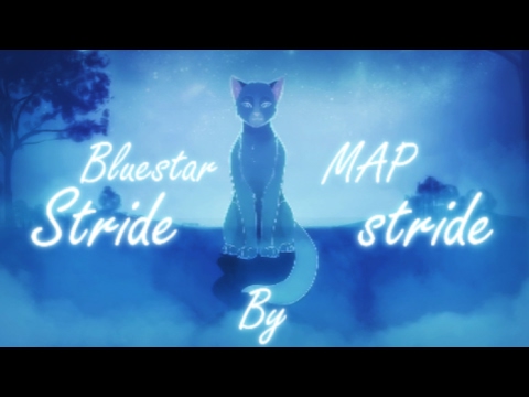 Stride by stride - Complete Bluestar M.A.P