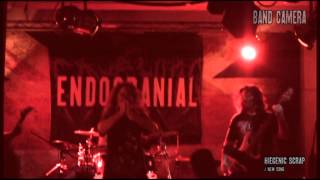 ENDOCRANIAL -- Band Camera --( Cherchill`s Club - Live in Kharkov)