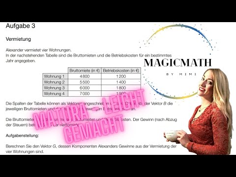 Mathe Matura - leicht gemacht! Gewinn als Vektor darstellen - Brutto - Netto Aufgabe 3 Winter 2022