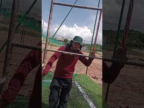 Baia formosa Rio grande do Norte