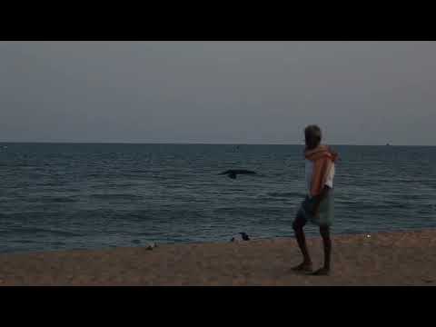 Sadras Beach cinematic sequence🏝