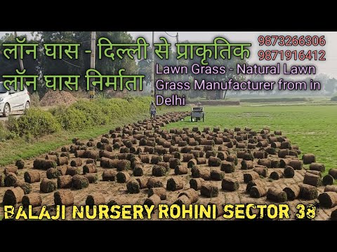 Manufacturer Of Natural Grass