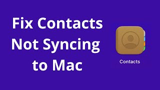How to Fix Contacts Not Syncing to Mac (2022 Updated)