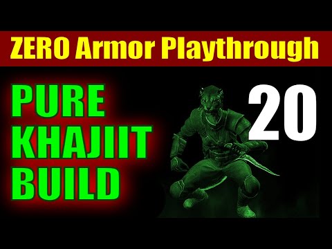 Skyrim PURE KHAJIIT Walkthrough ZERO ARMOR RUN -  Part 20, Bleak Falls Barrow