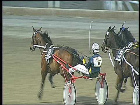 Trotto 10/03/2017 - 7ª corsa