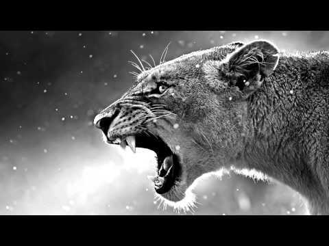 ZѦWOR x Kaszak x HѦZE x Strojas x RѦV x Haczy ♦ "2 k 1 6"