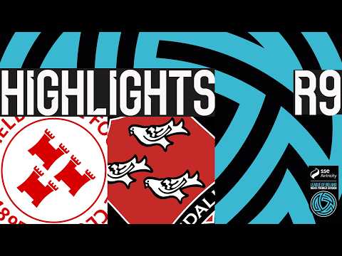 bg-highlight