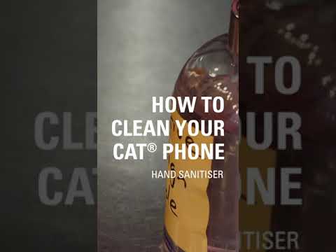 How To Clean Your Cat Smartphone With Sanitiser