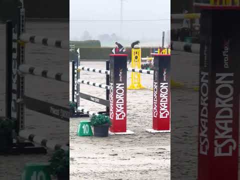 Untouched LB 7yo S* Goch (United Touch S x Cornet Obolensky)