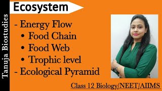 Ecosystem - Energy Flow | Ecological Pyramid | Food Chain |Food Web | GFC/DFC |Class 12 Biology/NEET