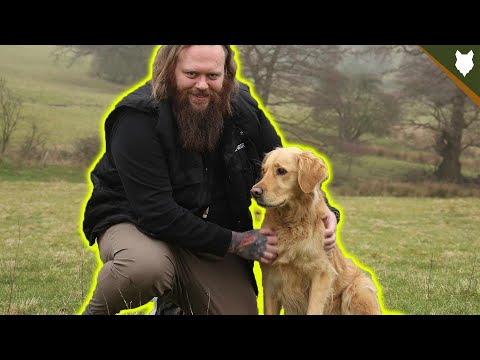 How To Turn AWFUL Recall Into PERFECT Recall Training With Your Dog!