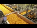 Pepsico -Kurkure Plant Film