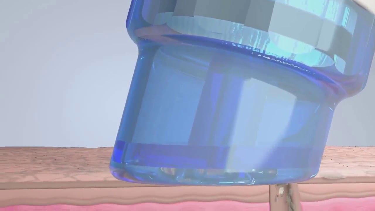 Nadia Janette Rodríguez Zendejas-9