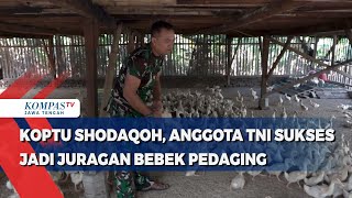 Download lagu Koptu Shodaqoh, Anggota TNI Sukses Jadi Juragan Bebek Pedaging mp3 Download lagu Koptu Shodaqoh, Anggota TNI Sukses Jadi Juragan Bebek Pedaging mp3