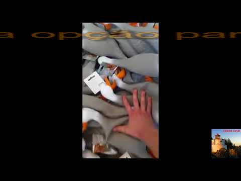 Pato de borracha gemedor