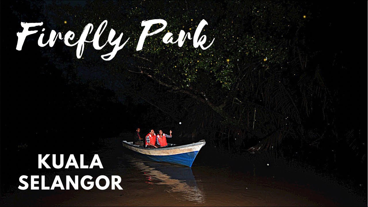 A Visit to Firefly Park in Kuala Selangor | Kuala Lumpur, Malaysia