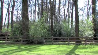 Video of Fürsten-Look