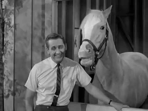 Mr Ed The Talking Horse The Empty Feed Bag Blues