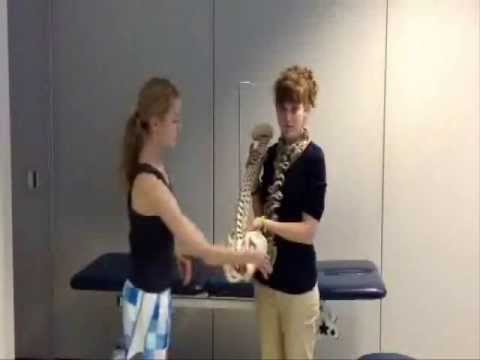 Gillet Test also known as the March Test