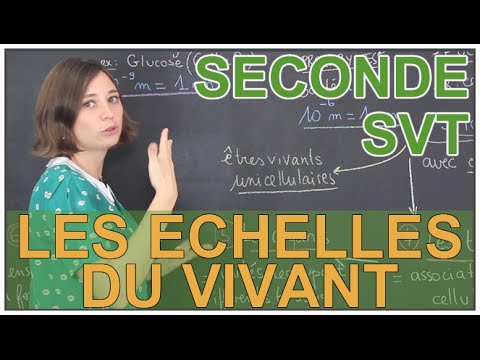 The scales of life - SVT Seconde - Les Bons Profs
